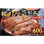 うなぎ蒲焼き うなぎ 定期便 Wfb-0079
