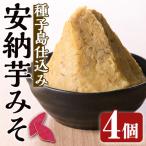 n302 味噌 500g