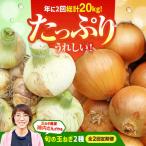 玉ねぎ定期便 10kg