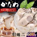 冷凍牡蠣むき身600g 牡蠣