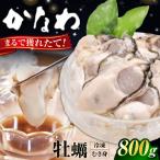 生牡蠣むき身800g 牡蠣