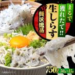 冷凍生しらす50g×15個 しらす