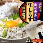 冷凍生しらす50g×42個 しらす