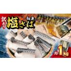 塩さば 切身 約1kg