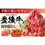 おおいた豊後牛 牛肉 切り落とし 1.2kg