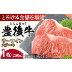 おおいた豊後牛 サーロインステーキ 250g