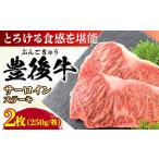 おおいた豊後牛 サーロインステーキ 500g