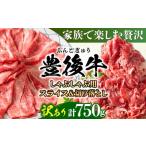 おおいた豊後牛 しゃぶしゃぶすき焼き セット 750g