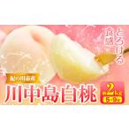 桃 川中島白桃 約2kg