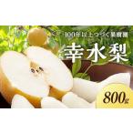 一番の梨 幸水 2玉