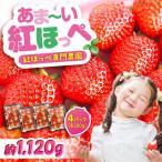 こだわりの紅ほっぺ 280g