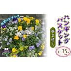 花 寄植え バスケット 季節の花 植物