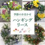 花 ハンギングリース リース 寄植え