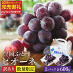 訳あり 豊岡ぶどう ピオーネ 約300g×2パック