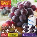 訳あり 豊岡ぶどう ピオーネ 約300g×4パック