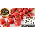 ふるさと納税 《 テレビで紹介 》【 2026年収穫分 先行予約 】 糖度9度以上 スーパーフルーツトマト てるて姫 大箱 約2.6kg × 1箱 【20〜35.. 茨城県桜川市