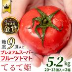 2~ スーパーフルーツトマト てるて姫 大箱 約2.6kg