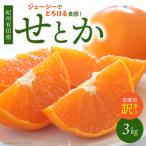 とろける食感 ジューシー柑橘 せとか ミカン
