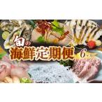 定期便 6回 お楽しみ 野島水産 魚貝定期便