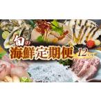 お楽しみ旬の定期便12回コース お楽しみ