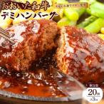 デミハンバーグ 個包装 20個