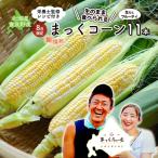 とうもろこし 富良野産 まっくコーン 生食