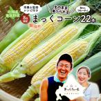 とうもろこし 富良野産 まっくコーン 生食