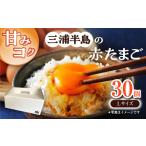 fu.... налог приманка . быть зацикленым три . половина остров производство красный Tama .30 шт [ Yokosuka quotient . собрание место ... нет подарок офисная работа отдел ( скала . порт Lee )][AKET004] Kanagawa префектура Yokosuka город 