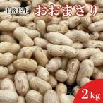 ふるさと納税 《先行予約》落花生 おおまさり 2kg 千葉県匝瑳市