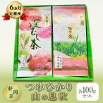 静岡茶セット つゆひかり 山の息吹