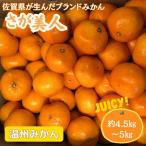 佐賀みかん さが美人 フルーツ 果物 みかん