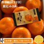 佐賀みかん 唐津産 麗紅みかん さがみかん
