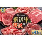 飛騨牛 贅沢食べ比べセットC※5回に分けてのお届けとなります