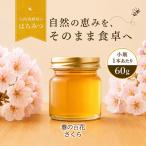 非加熱はちみつ 春の百花さくら 60g×2本