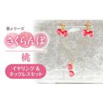 イヤリング ネックレス セット