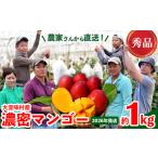 ふるさと納税 マンゴー【2026年発送】濃密マンゴー《秀品・約1kg》 沖縄県大宜味村
