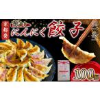 訳あり にんにく餃子100個 冷凍 京都餃子