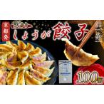 訳あり しょうが餃子100個 冷凍 京都餃子