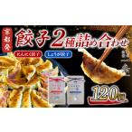 餃子2種 120個