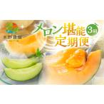 メロン堪能定期便 3回 水野農園