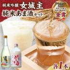 日本酒 女城主 純米吟醸とあま酒セット 岩村醸造