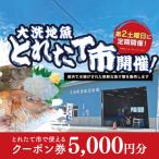 大洗地魚とれたて市クーポン券 5,000円分