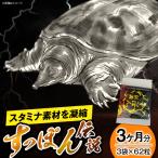 サプリ すっぽん伝説 62粒