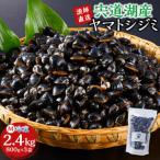 漁師直送 宍道湖産ヤマトシジミ Mサイズ冷凍2.4kg