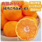 一度は食べていただきたい 有田産のせとか 約5kg