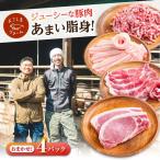 豚肉 うつみ潮風豚 精肉おまかせ4パックセット