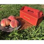 ふるさと納税 人気ゴールデン番組で話題沸騰!桃通が好む硬甘桃お試し約1kg8月中旬より発送【配送不可地域：離島・北海道・沖縄県・中国・四国・.. 山梨県山梨市