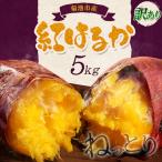 訳あり 紅はるか 約5kg
