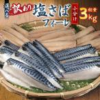 訳あり 塩さば 3kg