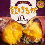 秀品 紅はるか 約10kg